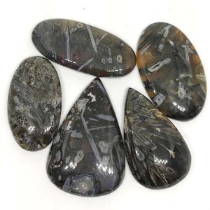 Stok agaat cabochon edelsteen + AAA+, maat 37-42 mm, groothandel losse cabochon, enkel stuk