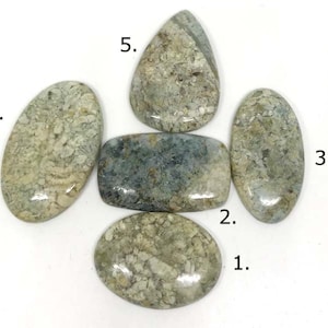 Ritoliet regenwoud jaspis cabochon edelsteen + AAA+, maat 32-40 mm, groothandel losse cabochonsteen, enkel stuk