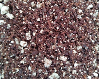 SUNNYPLANTS - Miscela di terriccio professionale per cactus e piante grasse (500 ml)