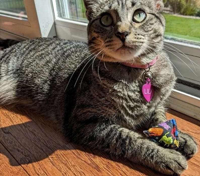 May include: A brown and black tabby cat with green eyes wearing a pink collar with a heart-shaped tag that says LILY. The cat is resting its front paws on a small, triangular fabric toy featuring a colorful pattern of various cat silhouettes.