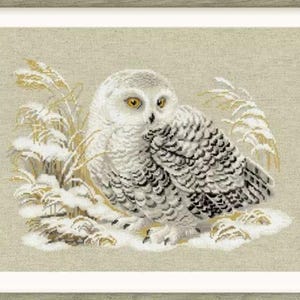 COUNTED CROSS Stitch Kit RIOLIS - White Owl