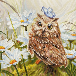 Cross Stitch Kit by LUCA-S -  LUCKY OWL
