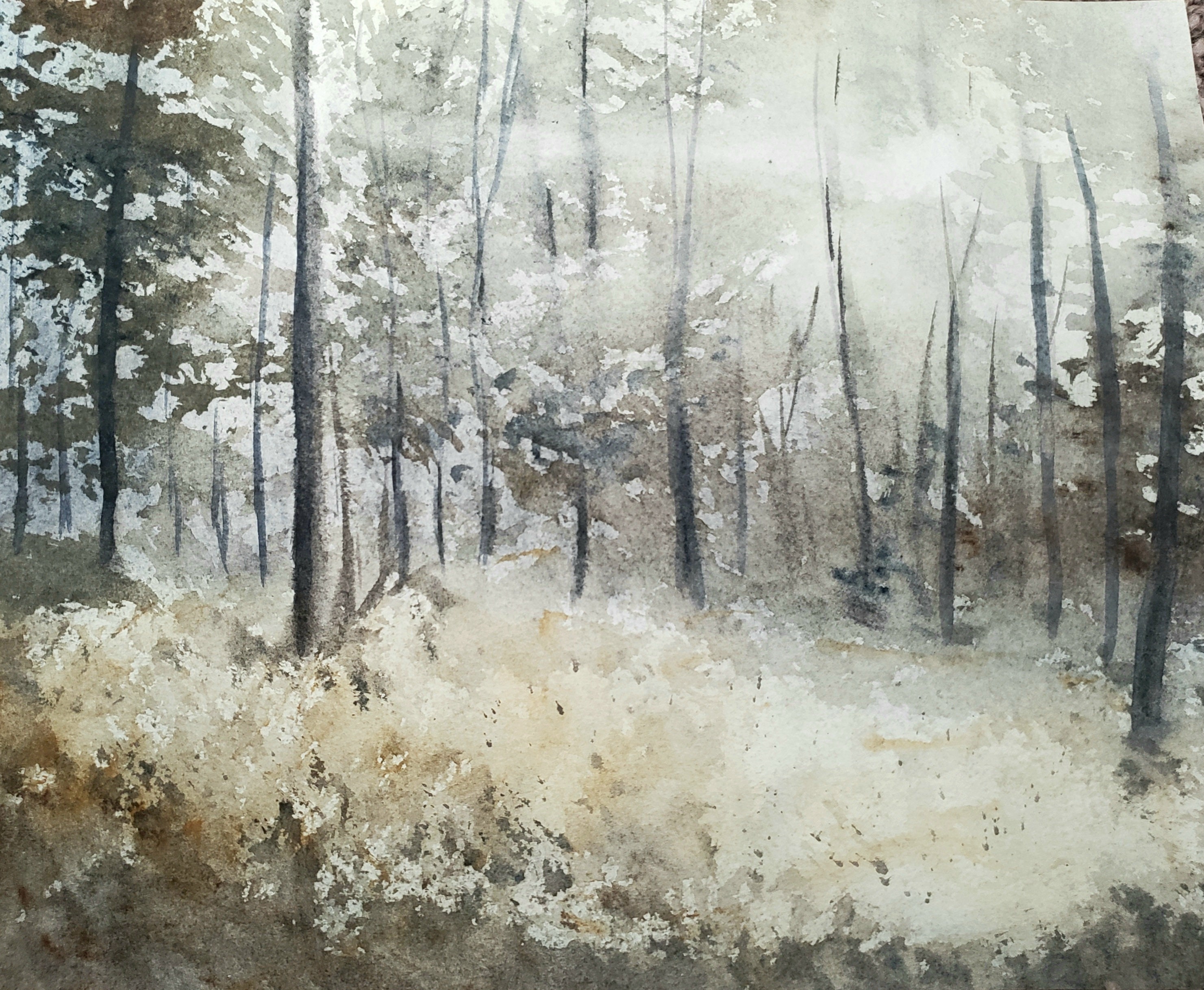 Original Watercolor Forest Painting Signed | Etsy