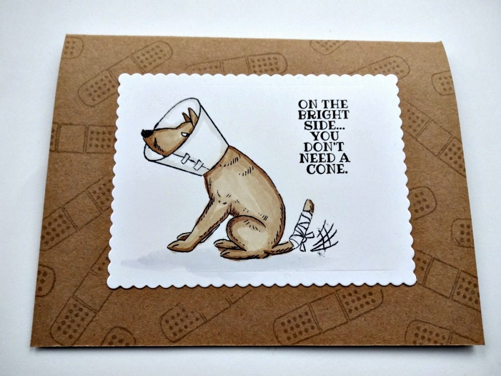 How To Make Dog Feel Better