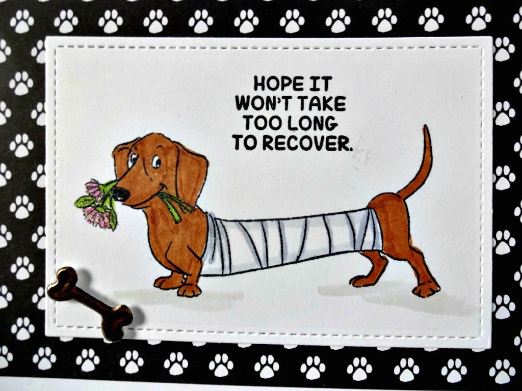 Dog Get Well Card Cute Dachshund Recovery Greeting Wiener Etsy Singapore
