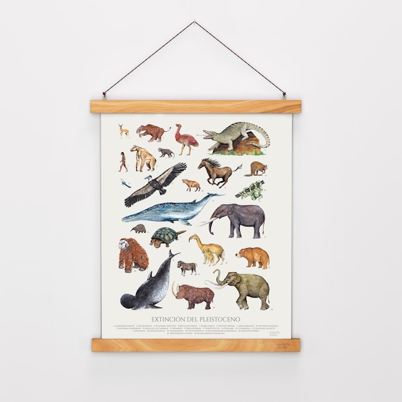 Pleistocene Animals Extinction Poster. Vintage Inspired - Etsy
