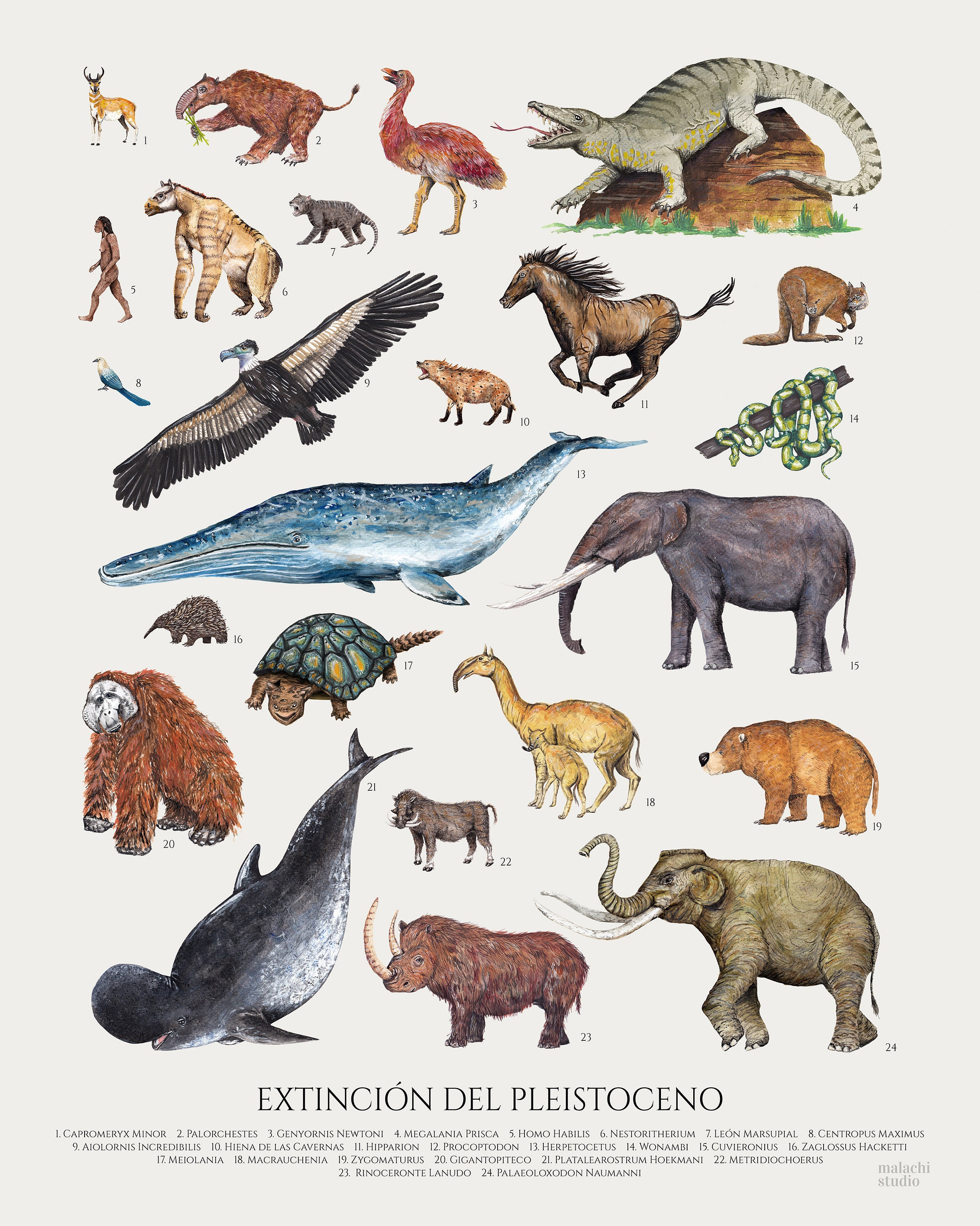 Pleistocene Animals Extinction Poster. Vintage Inspired - Etsy Pleistocene Animals Extinction Poster. Vintage Inspired - Etsy