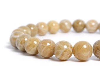8mm Fossil Coral Stretch Bracelet