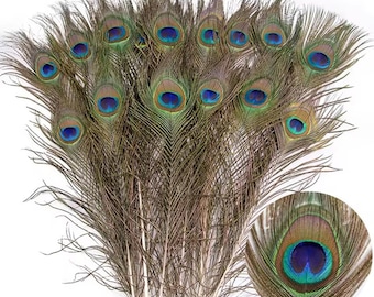 20 plumas de pavo real auténticas de 25 a 30 cm, plumas naturales de color verde y azul para manualidades, joyería y decoración del hogar.