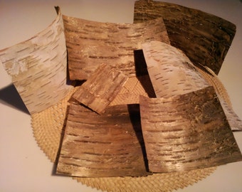 Wood Veneer Sheets, Birch Bark Veneer, Woodworking Accessories, Eco Friendly / Save 10%/Use Promo Code/ SPRING24