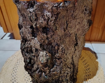 Plant Stand, Indoor Plant Base, Houseplants /Use Promo Code / NOBLING