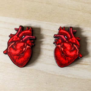 Anatomical Heart Stud Earrings- Unique and Intricately Cut Anatomical Heart earrings.