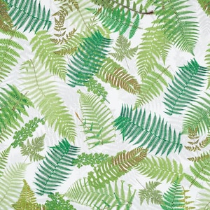 SCHUMACHER BOTANICAL FERNS Cotton Toile Fabric 10 Yards Ivory Green