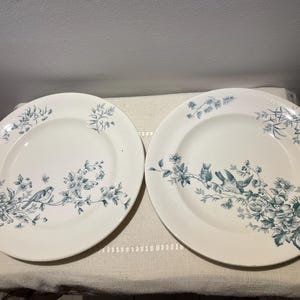 ロンウィ　MIGNON　ラヴィエ　フランスアンティーク ロンウィ ミニョン Longwy Mignon 平皿 φ21.7cm アンティーク a