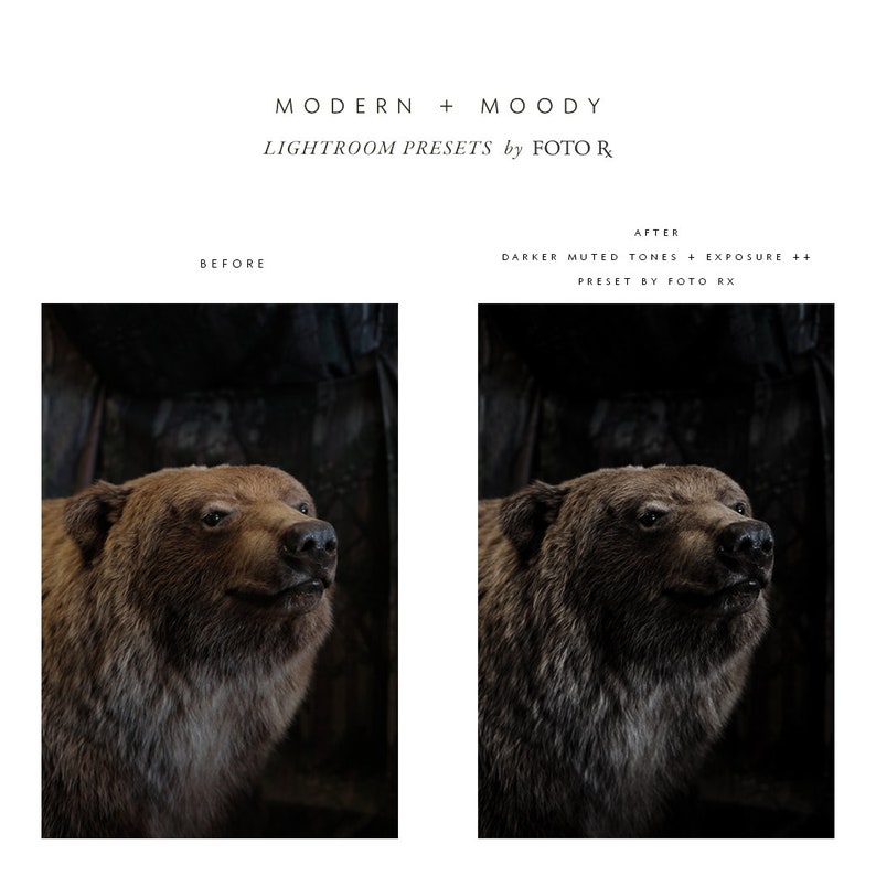 Modern Moody Lightroom Presets image 4