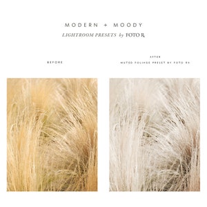 Modern  Moody Lightroom Presets image 6