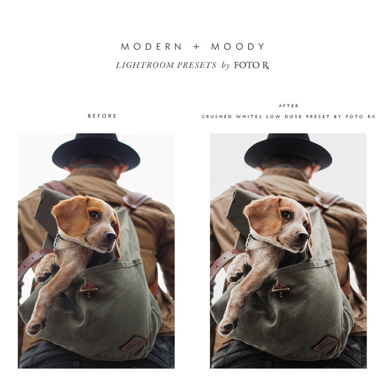 Modern Moody Lightroom Presets image 2