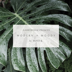 Modern  Moody Lightroom Presets image 1