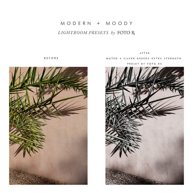 Modern Moody Lightroom Presets image 5