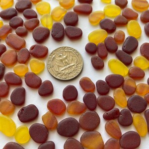 May include: A collection of smooth, tumbled sea glass in shades of amber, yellow, and deep red. A US quarter coin is included for size reference. The sea glass pieces vary in shape and size, creating a natural, organic aesthetic.