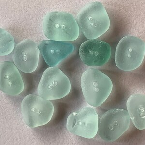K&ouml;nnte beinhalten: Eine Sammlung von 14 hellblauen, glatten Muschelkn&ouml;pfen mit jeweils zwei L&ouml;chern. Die Kn&ouml;pfe haben eine nat&uuml;rliche, unregelm&auml;&szlig;ige Form.