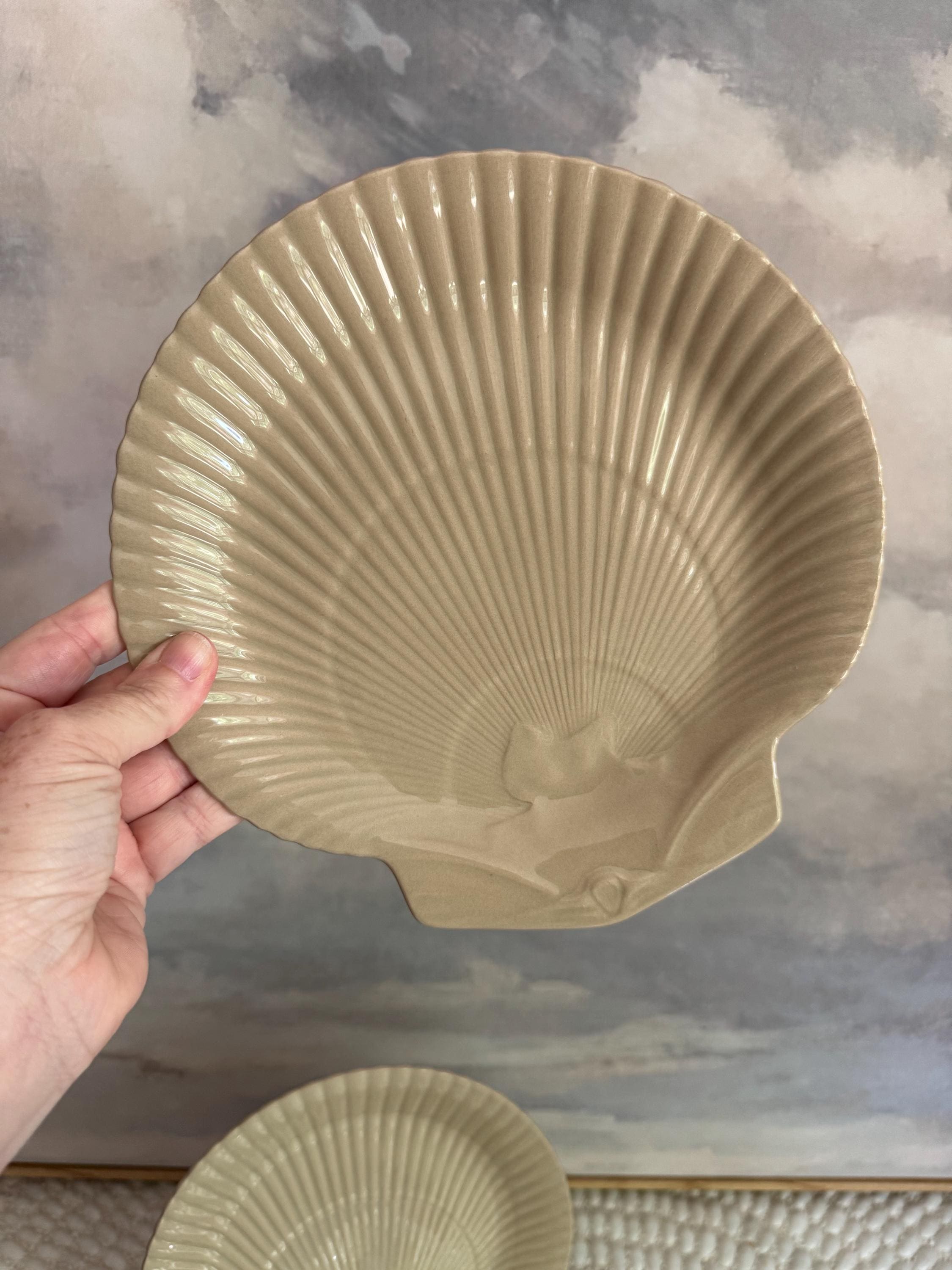 Wedgwood Nautilus Shell - Etsy