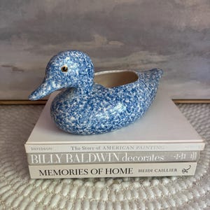 May include: A ceramic duck-shaped planter featuring a blue and white speckled pattern with a smooth, glossy finish. The duck has a small, dark eye and an open cavity on its back for holding items. It is positioned atop a stack of three books.