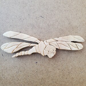 Dragon fly, insect,  bug
