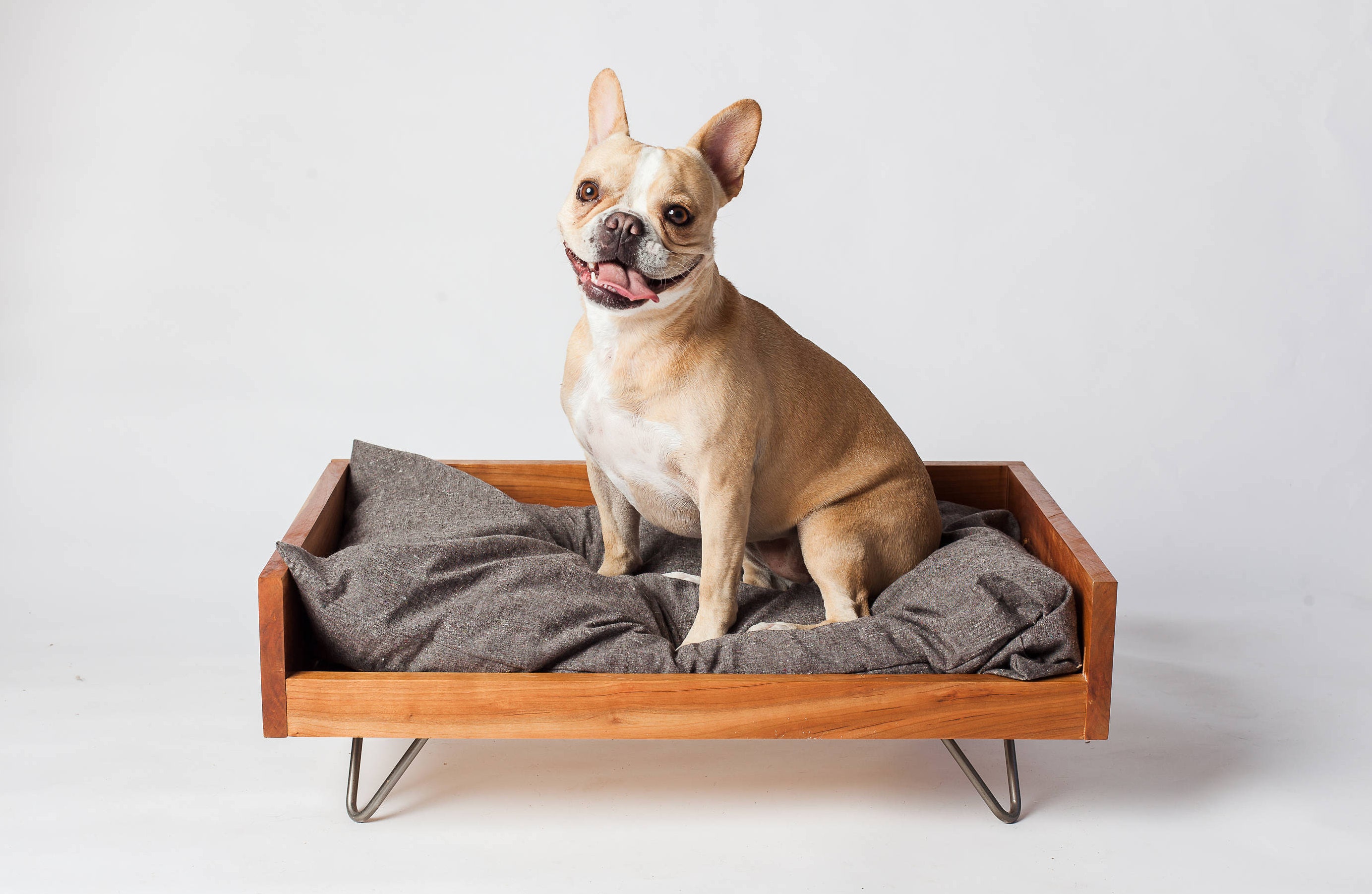 Custom Dog Furniture Raised Dog Bed Washable Dog Bed Etsy