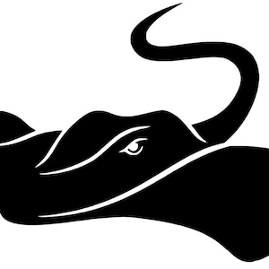 Stingray decal | Vinyl | Diecut | Decal | Car | Window Decal |  Laptop Sticker