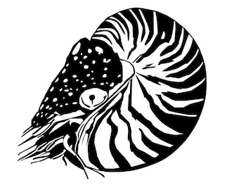 Nautilus Decal | Vinyl | Diecut | Decal | Car | Window Decal |  Laptop Sticker