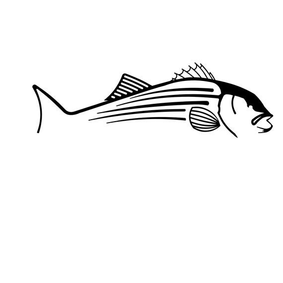 Gracie Vinyl Decal /"Sticker/" For Car or Truck Windows Laptops etc