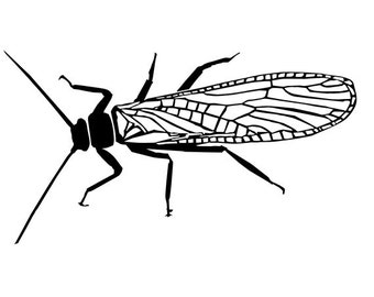 Stonefly Decal | Fly | Fishing | Vinyl | Diecut | Decal | Car | Window Decal |  Laptop Sticker