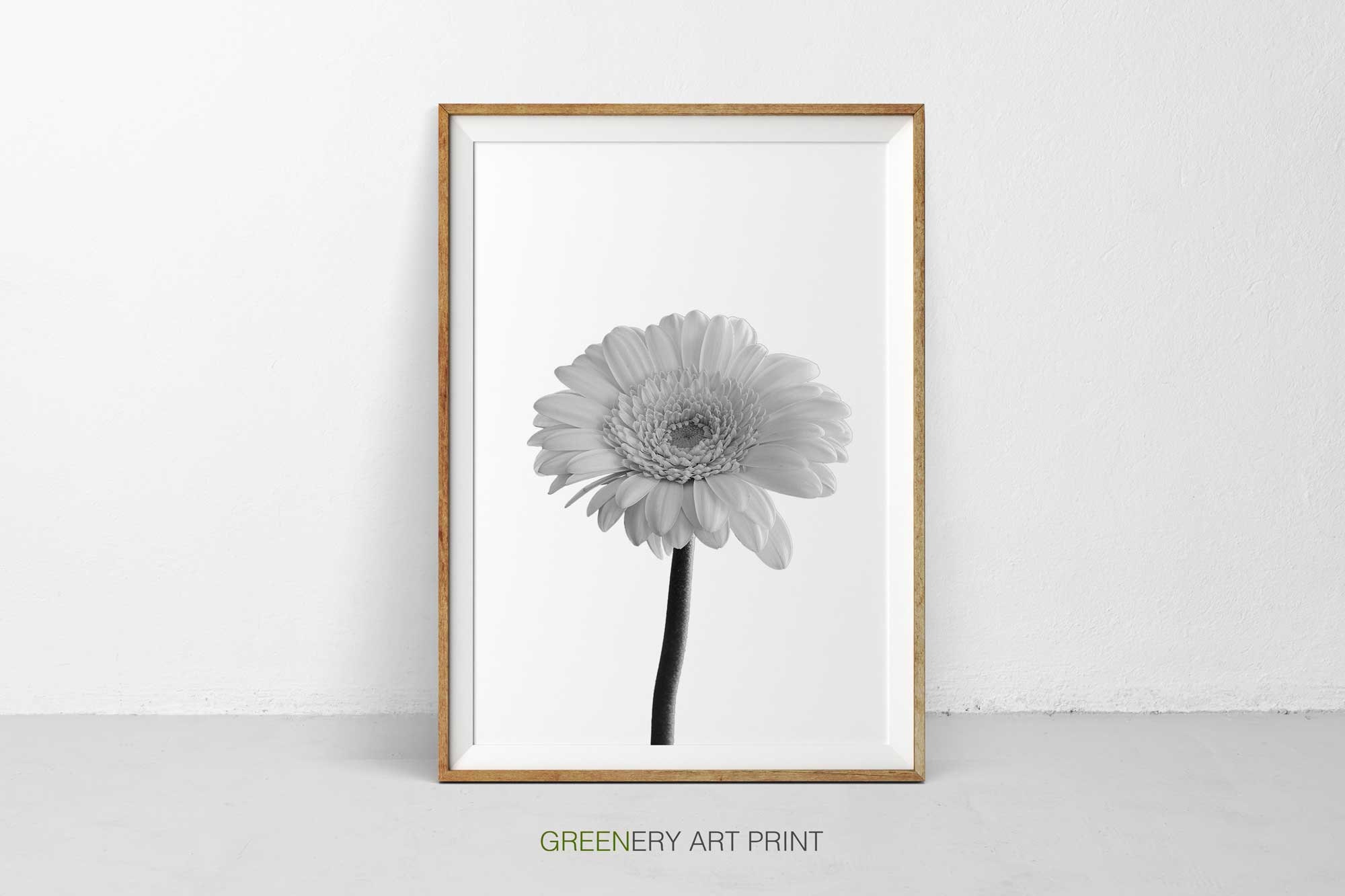 Black and white magnolia print flower wall art botanical art wall decor floral print art floral magnolia photography photography print
