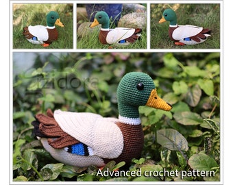 PATTERN (English Only):  Mallard Duck - crochet mallard, crochet wild duck, crochet duck - Instant PDF Download