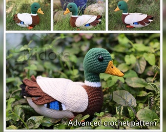 PATTERN (English Only):  Mallard Duck - crochet mallard, crochet wild duck, crochet duck - Instant PDF Download