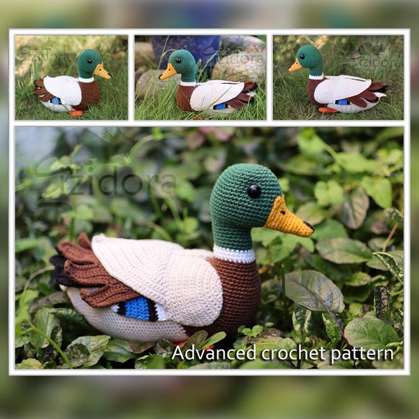 PATTERN (English Only):  Mallard Duck - crochet mallard, crochet wild duck, crochet duck - Instant PDF Download