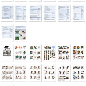 May include: A collection of pages from a craft pattern book. The pages feature text, diagrams, and images related to a "Mallard Duck" project. The cover displays the title, a logo, and a photo of a mallard duck.
