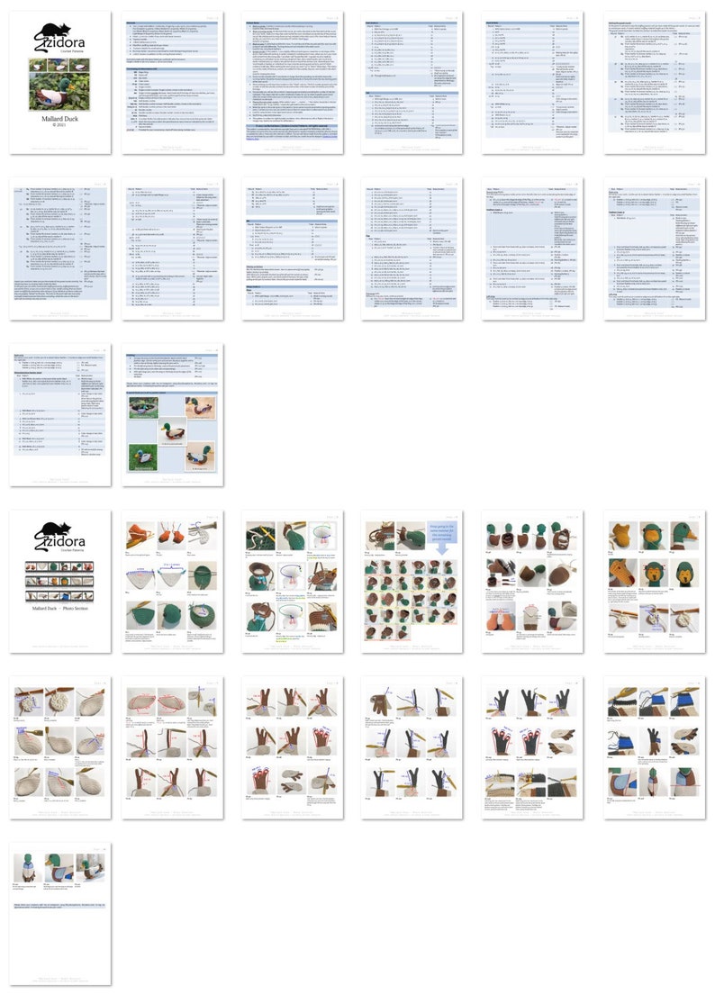 PATTERN English Only: Mallard Duck crochet mallard, crochet wild duck, crochet duck Instant PDF Download Bild 4