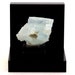 see more listings in the Fine Minerals section
