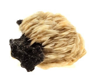 Baryte + Sphalerite. 163.0 ct. Les Cèdres, Saint-Laurent-le-Minier, Occitanie, France