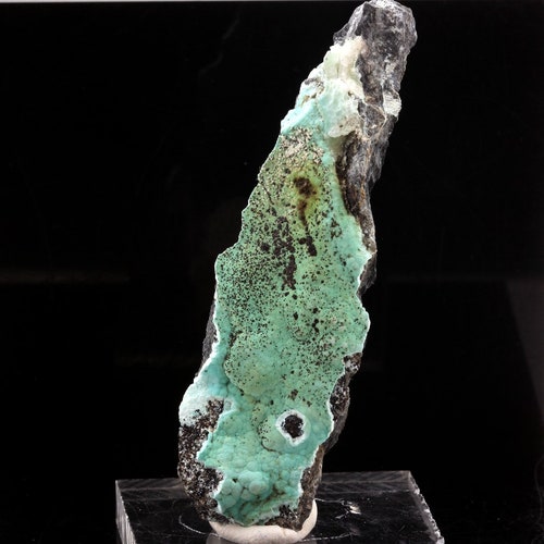 Hydrozincite retailer + Aurichalcite. 92.0 ct. La Sanguinede, Mechelen, Gard, France. Rare