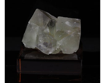 Fluorite. 194.25 cents. Avellan Mine, Fréjus, Var, France