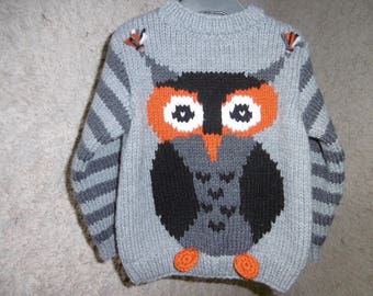 Pull garçon motif hibou de 2 ans à 6 ans tricoté main