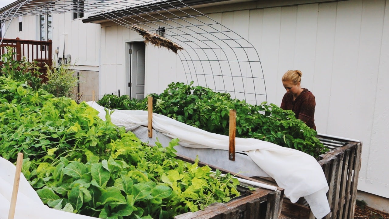 Caja Nido Para Periquitos, Casa Para Pájaros Para Jaula, Caja De Cría, image size:1280x721