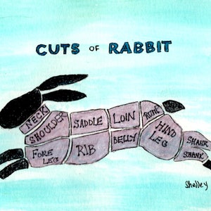 Thrifty Rabbit Raising