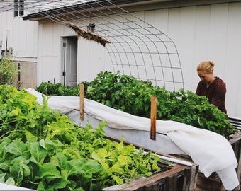 Combined Hotbed and Hotbed Greenhouse Plans