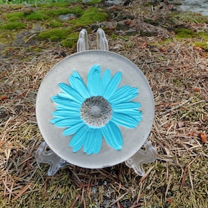 Shasta daisy decor - Concrete daisy - Blue daisy - Garden decor - Concrete Art - Concrete stepping stone - Concrete garden - Daisy art
