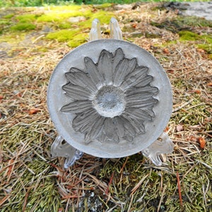 Shasta daisy decor - Concrete daisy - White daisy - Garden decor - Concrete Art - Concrete stepping stone - Concrete garden - Daisy art