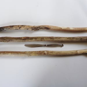Long driftwood - Driftwood branches - Driftwood sticks - Driftwood pieces - Lake Erie driftwood - Bulk driftwood